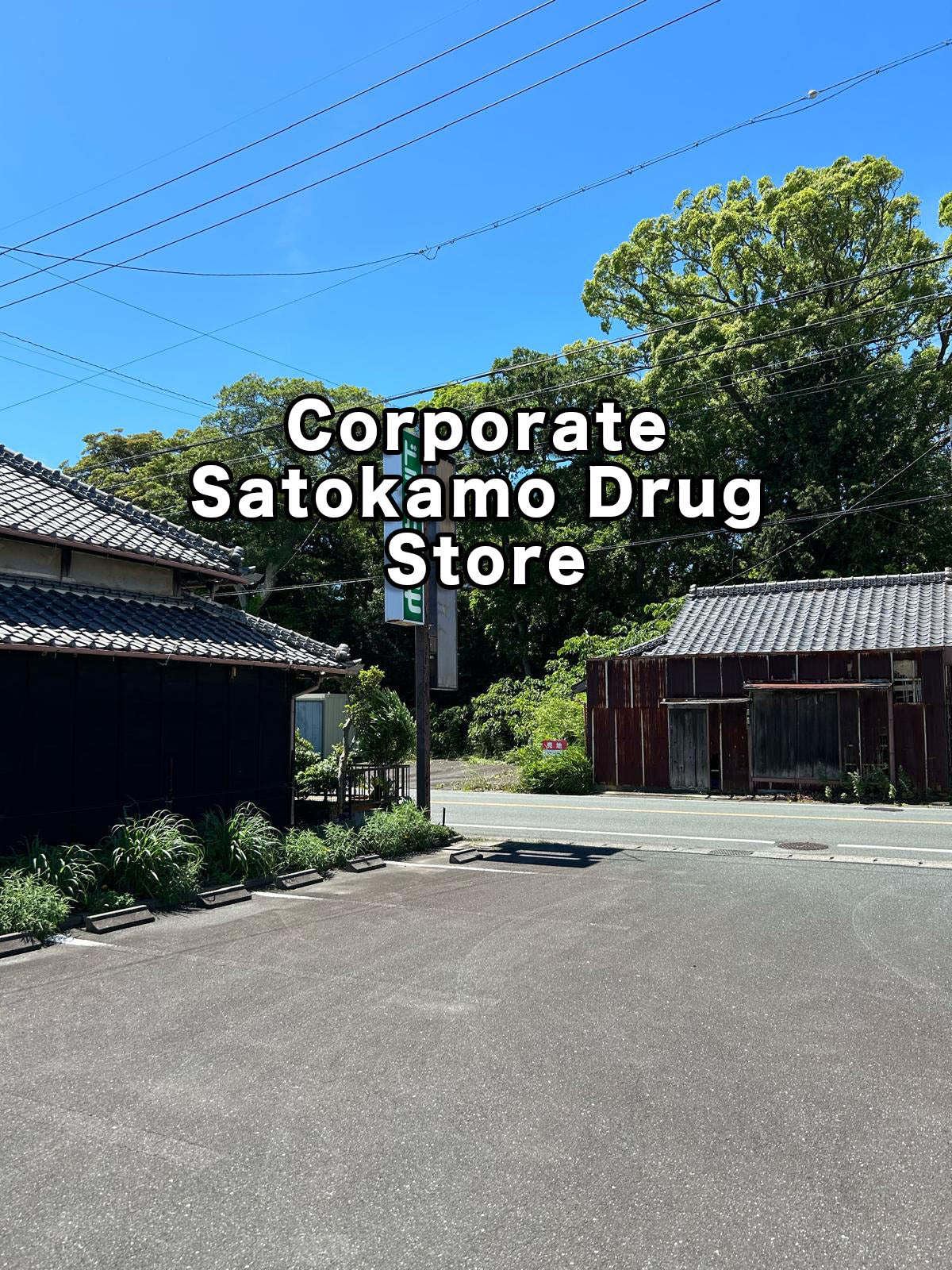 協力店 ドラッグカモ-創業1972年老舗薬局