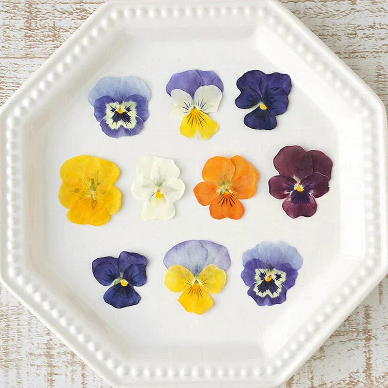 Dried Edible Flowers-（Uzunohana  うずの華オンライン）